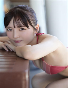红楼春梦